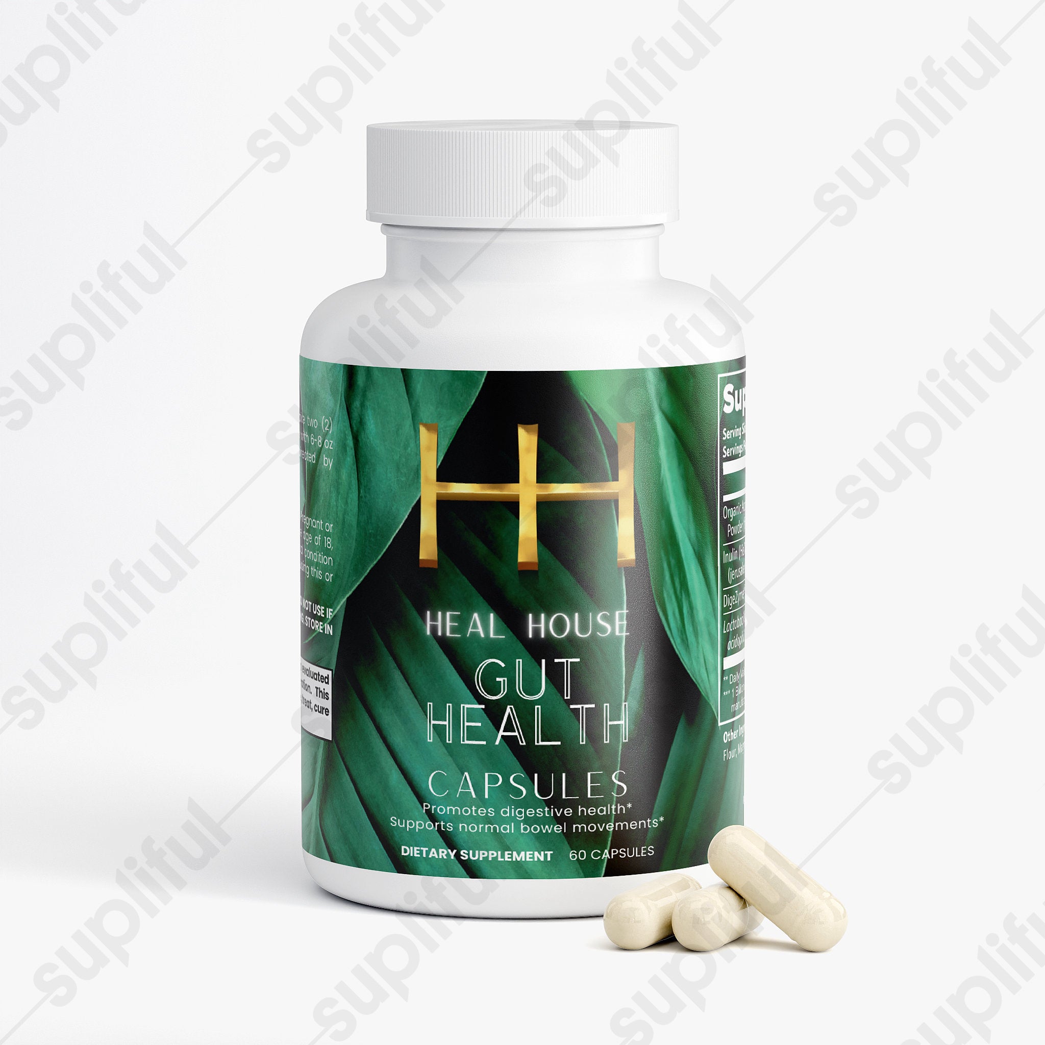Gut Health